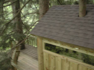 dscn0701.jpg